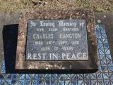 image of grave number 746385